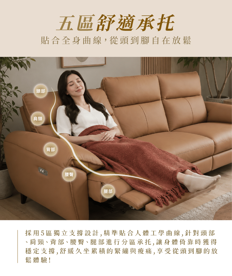 五區舒適承拖 2419 ｜ 汎庭家居